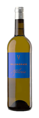 Afbeelding van Belondrade Quinta Apolonia Verdejo '25 mgn c/1 BIO