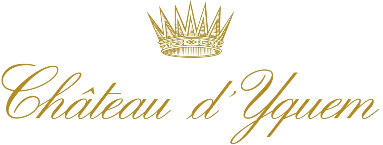 Afbeelding voor categorie Château D'Yquem